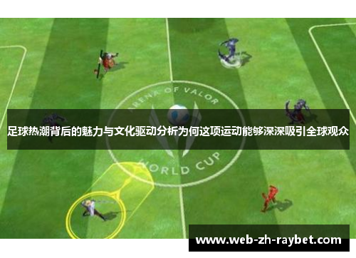 足球热潮背后的魅力与文化驱动分析为何这项运动能够深深吸引全球观众